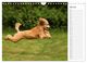 Thumbnail-9