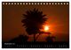 Thumbnail-14