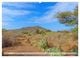 Thumbnail-11