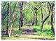 Thumbnail-8
