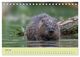Thumbnail-12