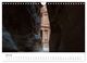 Thumbnail-12
