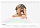 Thumbnail-10