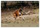 Thumbnail-12