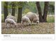 Thumbnail-12