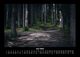 Thumbnail-10