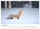 Thumbnail-14