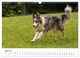 Thumbnail-9