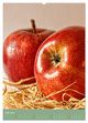 Thumbnail-11