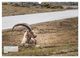 Thumbnail-11