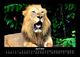 Thumbnail-8