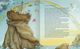 Thumbnail-3