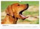 Thumbnail-14
