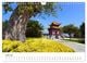 Thumbnail-8