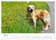 Thumbnail-12