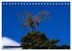 Thumbnail-9