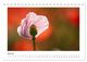 Thumbnail-11