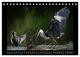 Thumbnail-14