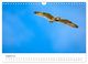 Thumbnail-10
