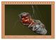 Thumbnail-9
