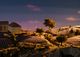 Thumbnail-2