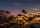 Thumbnail-2