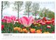 Thumbnail-14
