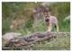Thumbnail-9