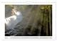 Thumbnail-13