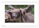 Thumbnail-12