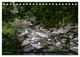 Thumbnail-11