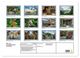 Thumbnail-11