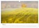 Thumbnail-10