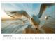 Thumbnail-11