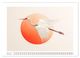 Thumbnail-8