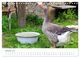 Thumbnail-12