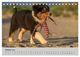 Thumbnail-12