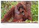 Thumbnail-12