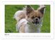Thumbnail-9