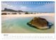 Thumbnail-11