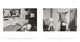 Thumbnail-10