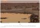 Thumbnail-12