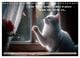 Thumbnail-12