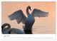 Thumbnail-9
