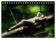 Thumbnail-13