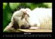 Thumbnail-12