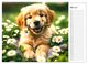 Thumbnail-10