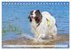 Thumbnail-10