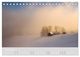 Thumbnail-14