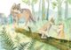 Thumbnail-2